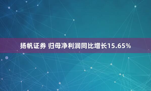 扬帆证券 归母净利润同比增长15.65%