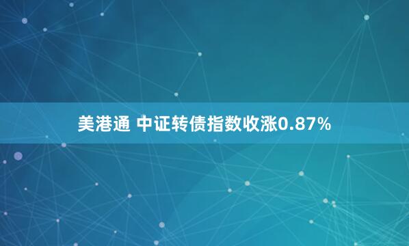 美港通 中证转债指数收涨0.87%